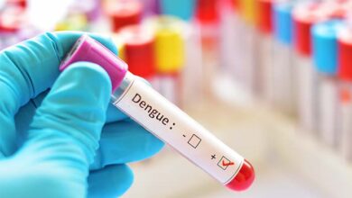 Dengue en aumento: Perú enfrenta su peor brote con 107 fallecidos