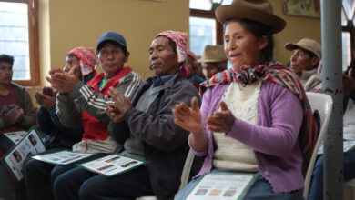 Alimentación temprana: ¿Por qué es importante el consumo de huevos en la infancia?