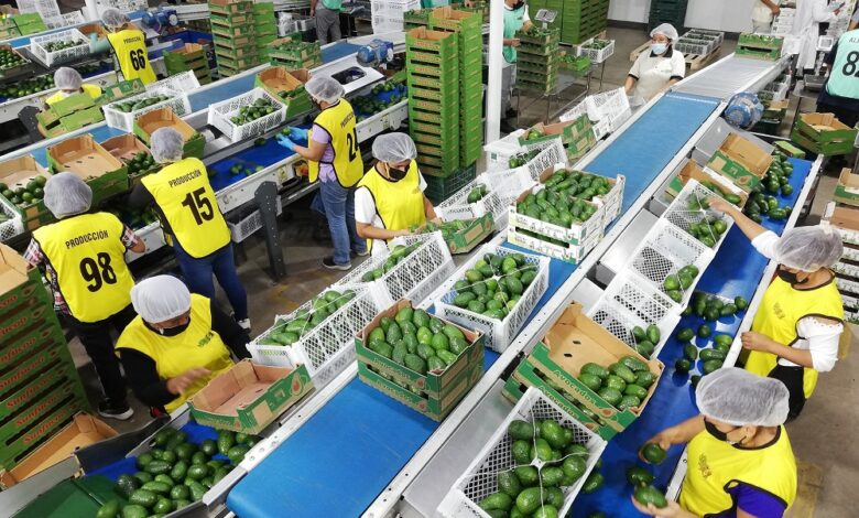 Buscan diversificar oferta peruana con valor agregado a China