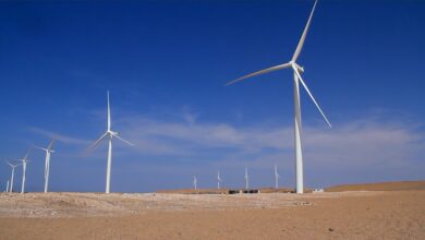 BCP otorgó financiamiento verde por más de US$100 millones a Luz del Sur