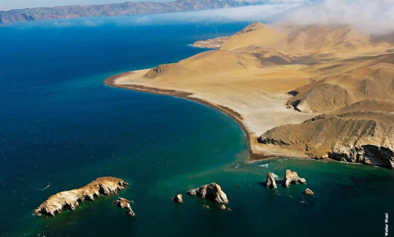 CAPATUR a favor que se mantenga la protección existente de la Reserva Nacional de Paracas