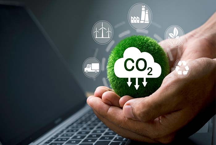 Alivo Renting lidera iniciativas sostenibles en favor del desarrollo del medio ambiente