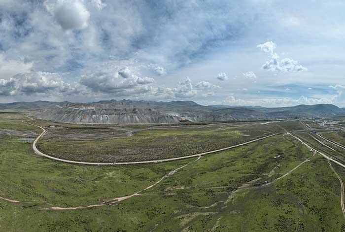 ANTAPACCAY FORESTÓ 130 HECTÁREAS CON ESPECIES NATIVAS DE QUEÑUA Y COLLE DENTRO DE SUS OPERACIONES