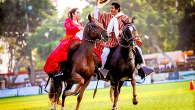 La gran noche del caballo peruano de paso