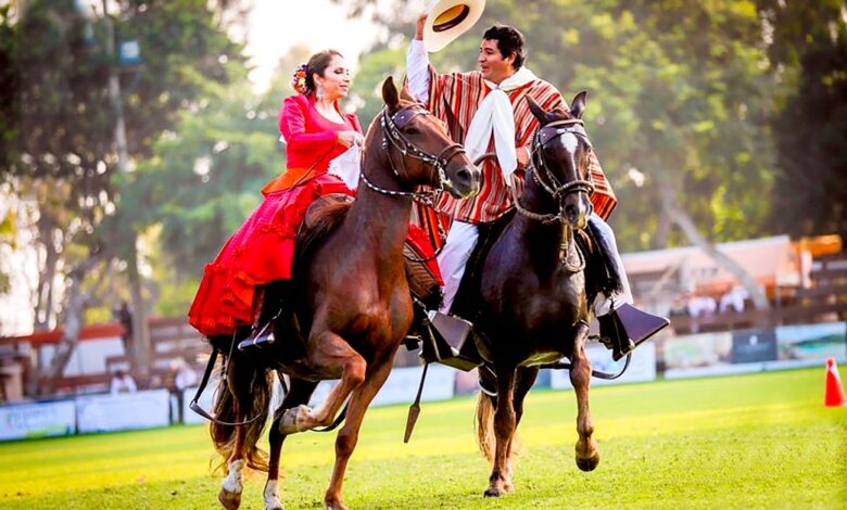 La gran noche del caballo peruano de paso