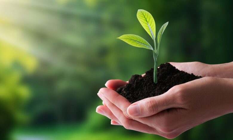 Día del Medio Ambiente: Cinco tips para un cambio sostenible en las empresas