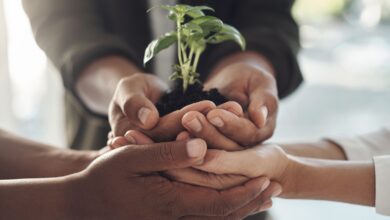 MAPFRE reduce su huella de carbono global un 25% y un 22% en Perú