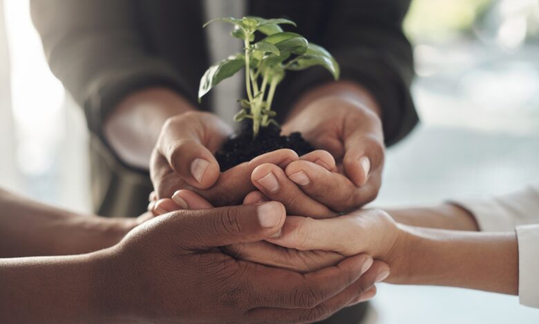 MAPFRE reduce su huella de carbono global un 25% y un 22% en Perú