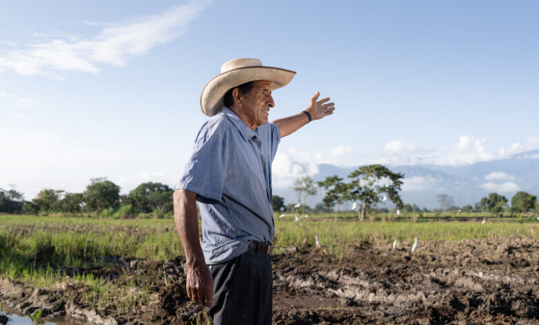 Syngenta fortalece acciones de la industria agroalimentaria en materia ambiental