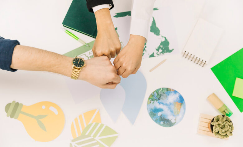 Día Mundial del Medio Ambiente: 4 empresas que trabajan por un futuro más sostenible