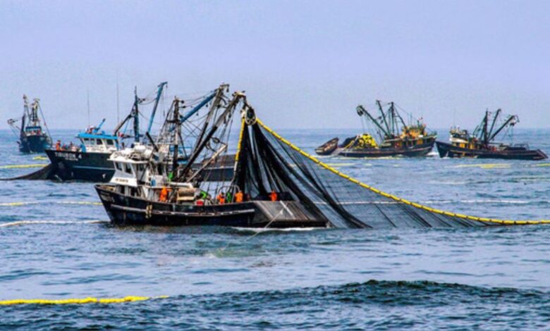 Sector pesquero saluda anuncio del gobierno en combatir la pesca ilegal de barcos extranjeros en territorio nacional