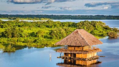 SKY proyecta trasladar a más de 18,000 personas al Cusco y la selva peruana