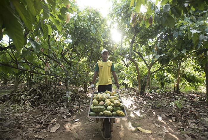 Mondelēz International redujo un 34% sus emisiones de carbono en sus procesos de manufactura