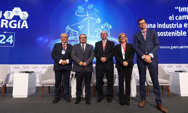 Juan Miguel Cayo: "Existen obstáculos para el proceso de transición energética”