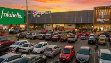 Día Mundial del Medioambiente: Parque Arauco revela sus avances en sostenibilidad