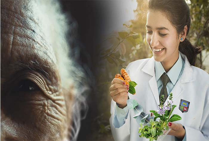 La magia de la naturaleza: Cuatro hierbas medicinales que manejan problemas de salud