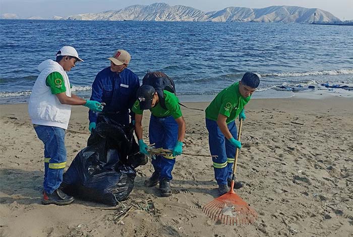 SIDERPERU y jóvenes voluntarios contribuyen a la protección de la Bahía de Chimbote