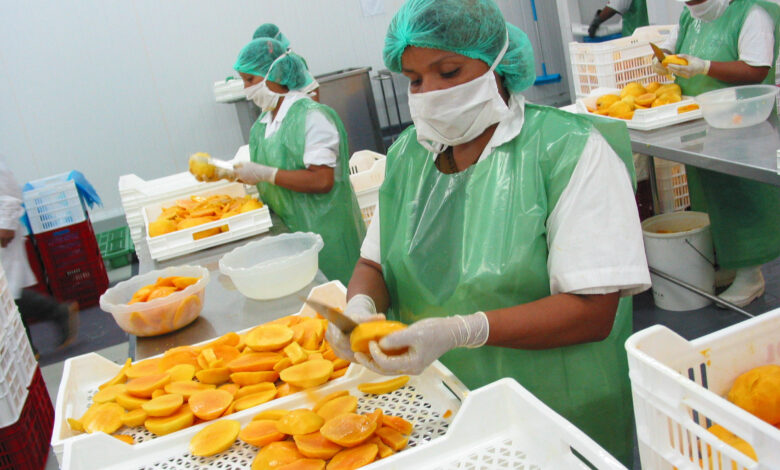 Empresas exportadoras aumentaron 5.9% en mayo