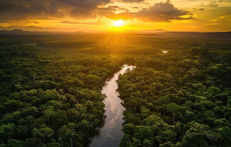Natura crea una alianza sin precedentes con sus proveedores para acelerar las prácticas regenerativas