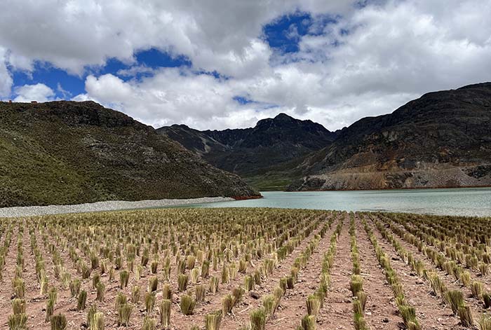 AMSAC cerró 90 pasivos mineros de alto y muy alto riesgo en la primera etapa del proyecto Caridad