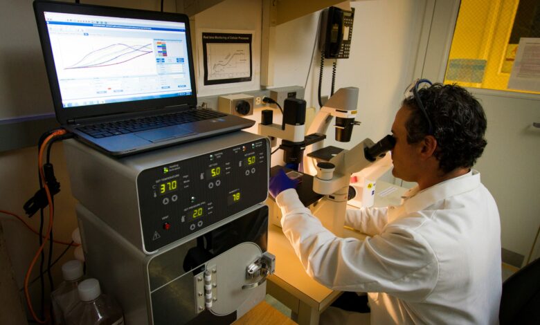 Palo Alto Networks: Inteligencia Artificial puede contener ciberataques a entidades de salud en menos de un minuto