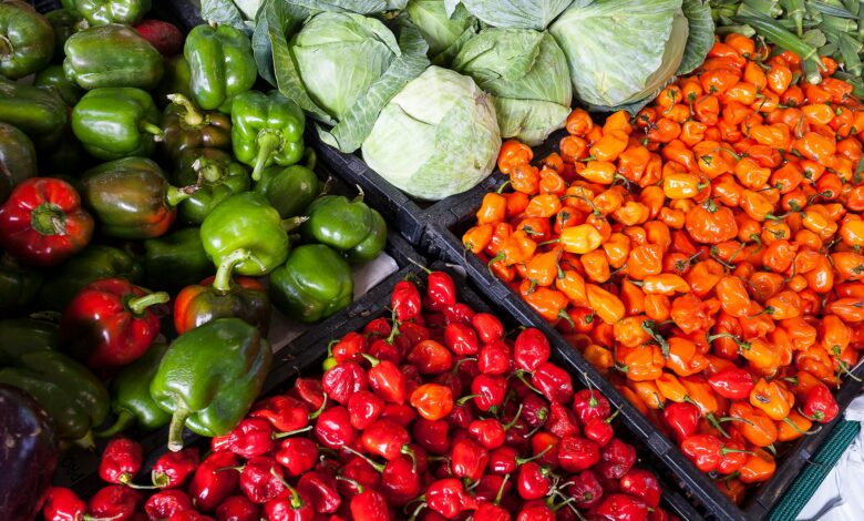 CRECER alerta sobre la inseguridad alimentaria en Perú: "Es un problema profundo, no temporal, arraigado en la pobreza estructural”