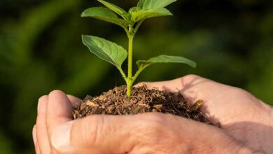 Empresas B: Compromiso con una nueva economía