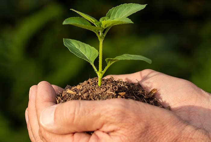 Empresas B: Compromiso con una nueva economía