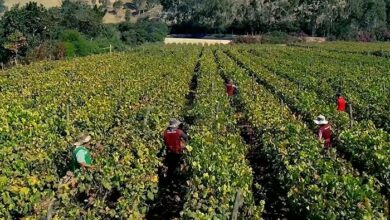 Proyectos en irrigación generarían US$ 9200 millones mediante Asociación Pública - Privada