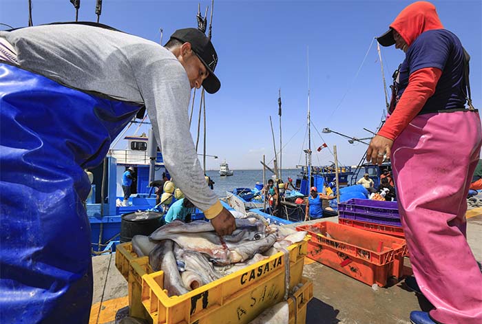 PRODUCE: Sanipes ahora es la Autoridad Nacional de Sanidad e Inocuidad en Pesca y Acuicultura