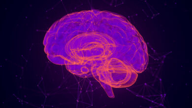 EXTE EXPLORA LAS 5 TENDENCIAS QUE MOLDEARÁN EL FUTURO DEL MARKETING DIGITAL