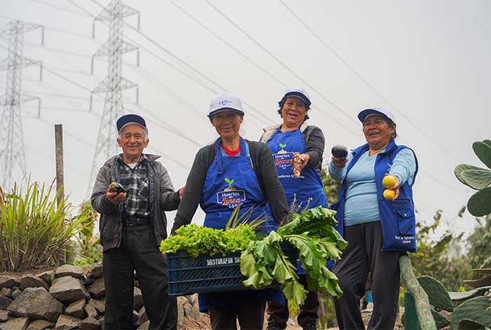 20º aniversario del proyecto "Huertos en Línea": Dos décadas de agricultura urbana y resiliencia comunitaria