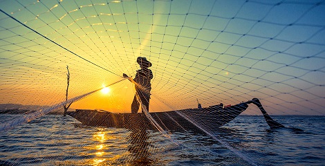 Cuatro razones para apostar por la pesca sostenible