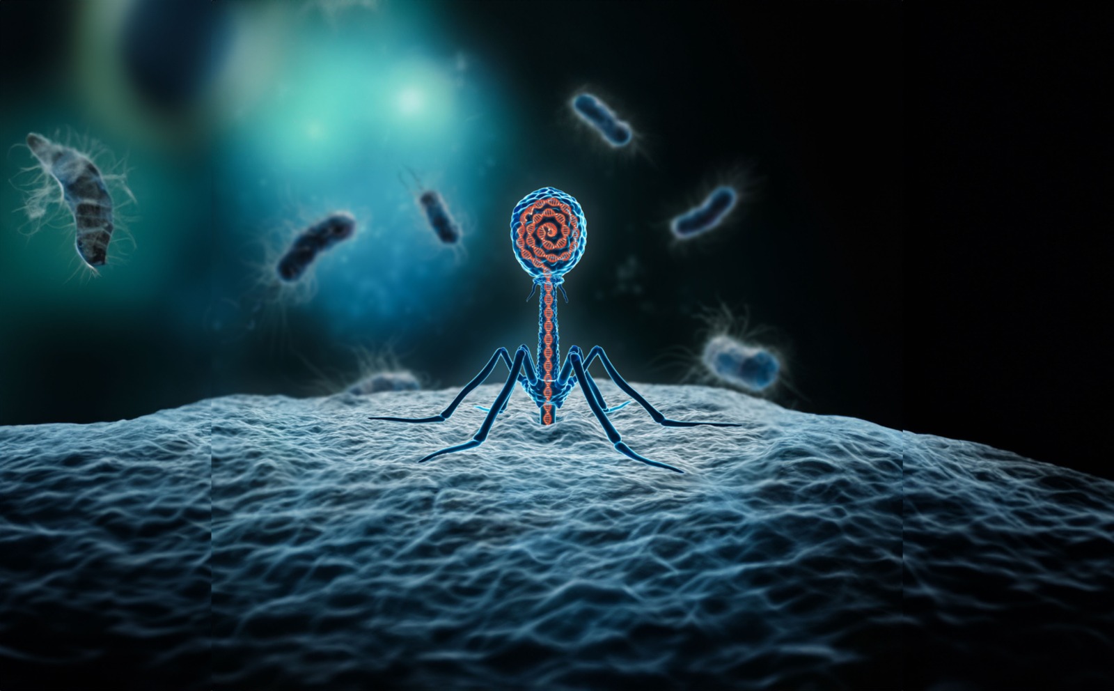 Industria agrícola y de salud apuestan por el uso de bacteriófagos para ...