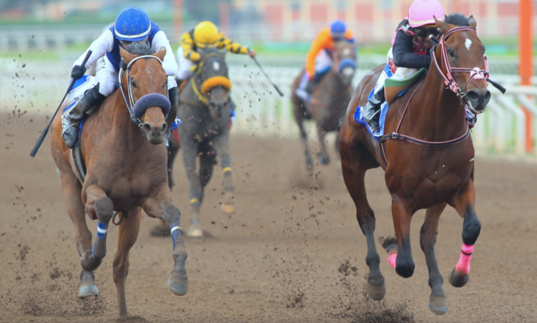Clásico Derby Nacional: 7 cosas que no conocías del evento hípico más importante del Perú