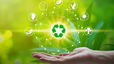 Conoce +VERDE, la iniciativa que promueve prácticas sostenibles