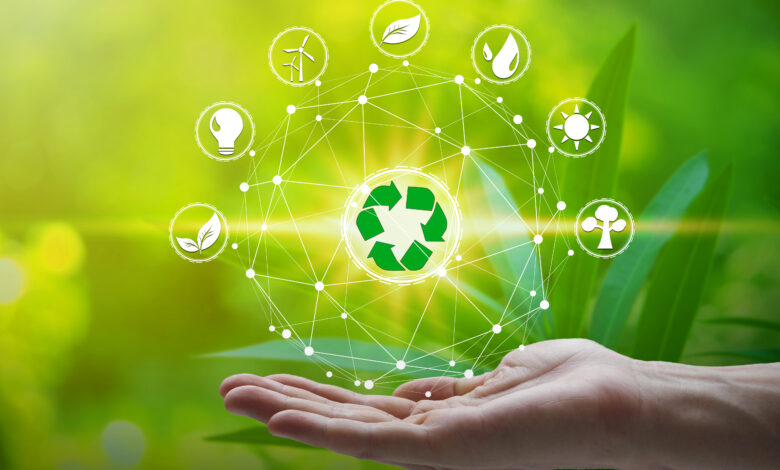 Conoce +VERDE, la iniciativa que promueve prácticas sostenibles
