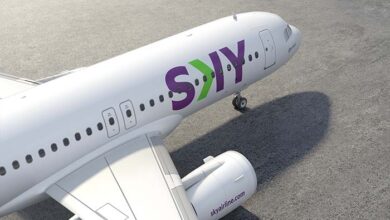 Cyber SKY 2024: El volumen de tickets vendidos a destinos nacionales aumentó un 117%