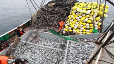 Pescadores industriales denuncian incautaciones injustas que ponen en riesgo el empleo de tripulantes y generan pérdidas significativas