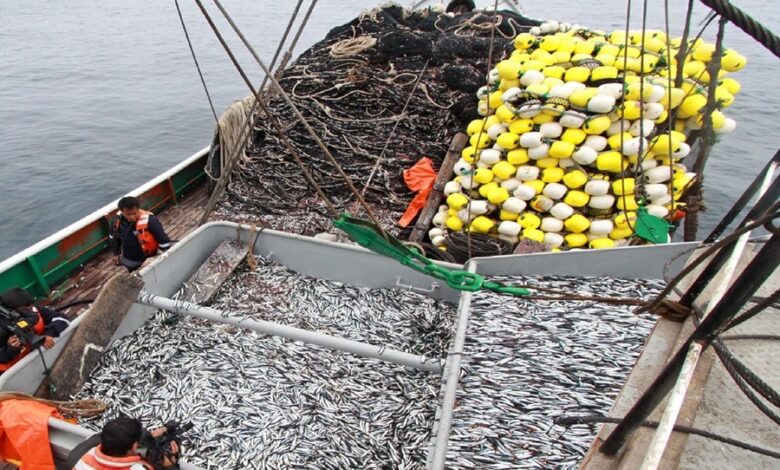 Pescadores industriales denuncian incautaciones injustas que ponen en riesgo el empleo de tripulantes y generan pérdidas significativas
