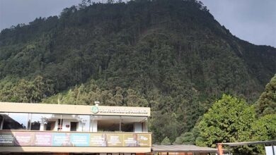 Conozca los programas profesionales que marcarán un futuro sustentable y de alto impacto en Latinoamérica en 2025