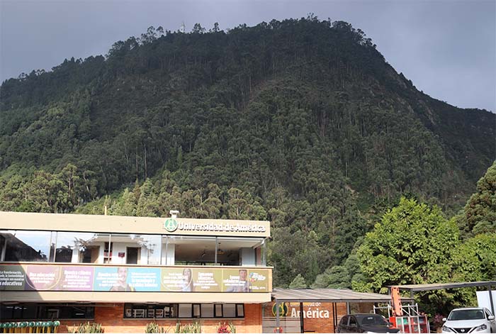 Conozca los programas profesionales que marcarán un futuro sustentable y de alto impacto en Latinoamérica en 2025