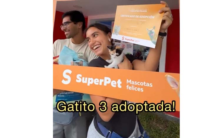 Historias que inspiran: Morocha, una gatita rescatada y la Jornada de adopción Superpet