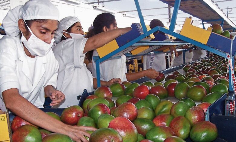 Michael Page: Crecen oportunidades laborales en el sector agroindustrial por acuerdo entre Perú y Brasil