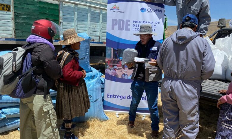 Concluye con éxito la Campaña de Siembra de Avena Forrajera en comunidades de Espinar