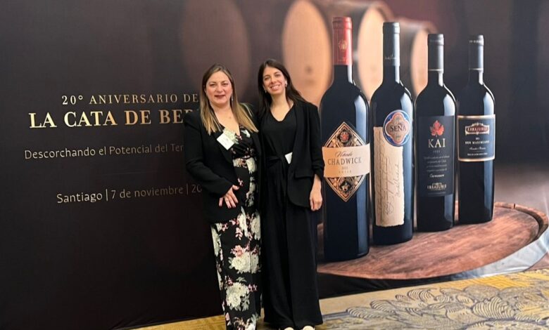 Viña Errazuriz: Conoce los vinos chilenos más icónicos y premiados de las últimas décadas