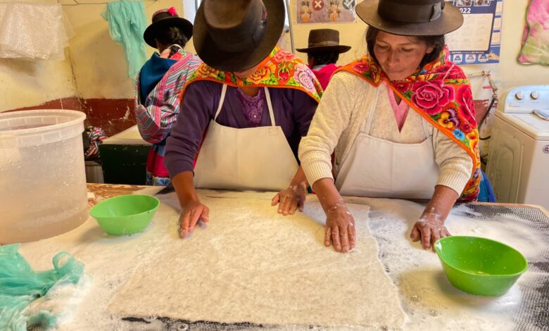 Concurso de Cooperativas 2024: programa “Allin Ruray” reconoce el liderazgo y trabajo en equipo de la Comunidad de Paccha en Ayacucho