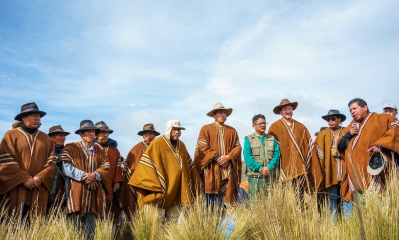 150 mil árboles en un día: Acción Andina y el Pueblo Originario de Aquia marcan récord de reforestación de queñuales para conservar el agua