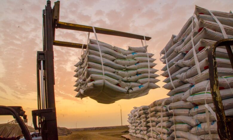 IPE: Exportaciones de harina de pescado crecieron 620% en el tercer trimestre del 2024