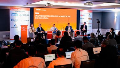 Congreso y Ministerio de Energía Impulsan masificación del gas natural en regiones